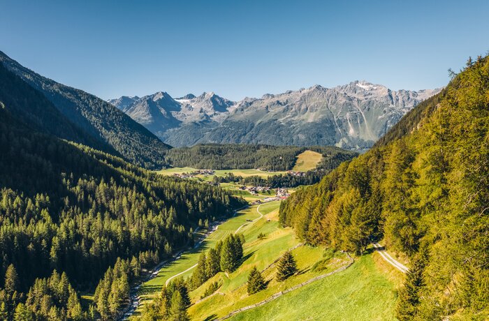 Grüne Berglandschaft mit Wald, Wiesen und schneebedeckten Gipfeln unter blauem Himmel