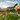 Alpbacherhof - Mountain & Spa Resort