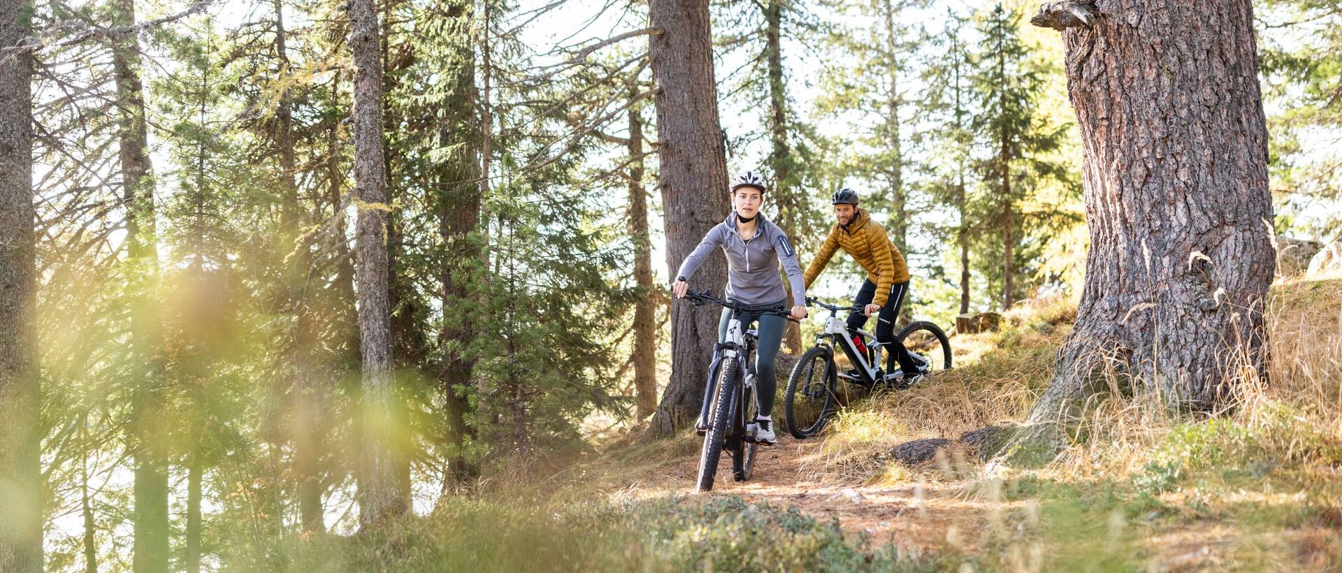 Radfahrer im Wald auf einem Pfad