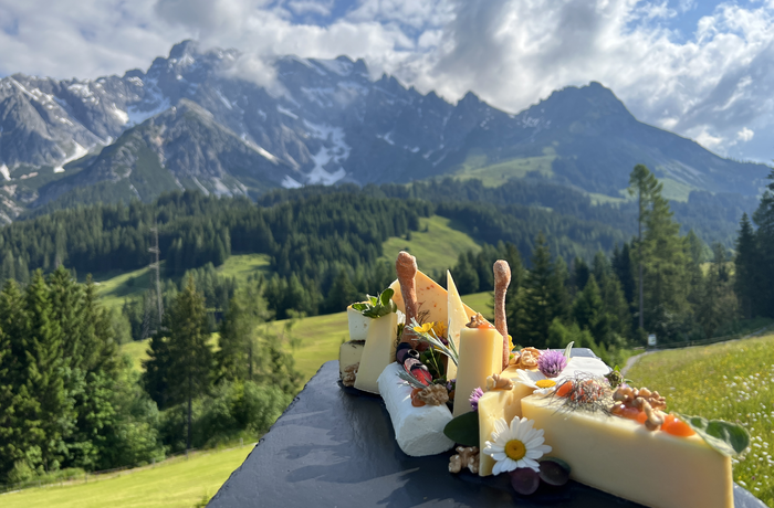 Eine Auswahl regionaler Käsespezialitäten vor einer beeindruckenden Bergkulisse.