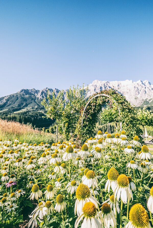 Blühender Hotelgarten mit Blick auf die Alpen.