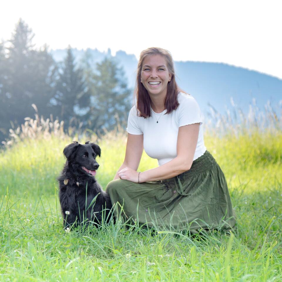 Hundetraining 2026 – Hotel Hochschober