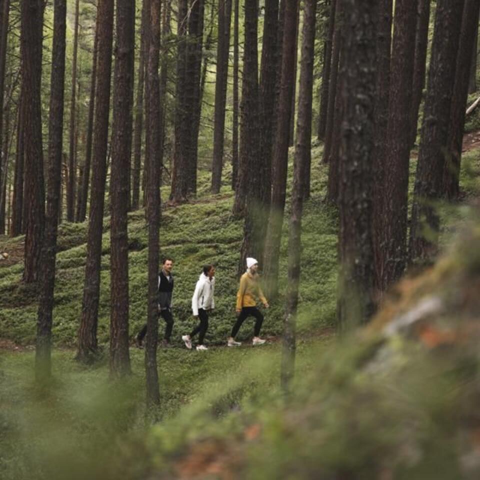 Bergsommer – 5 Nächte voller Leichtigkeit – Naturhotel Waldklause