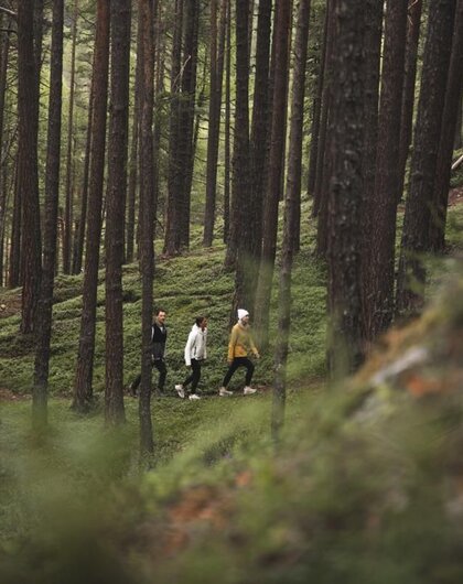 Bergsommer – 5 Nächte voller Leichtigkeit – Naturhotel Waldklause