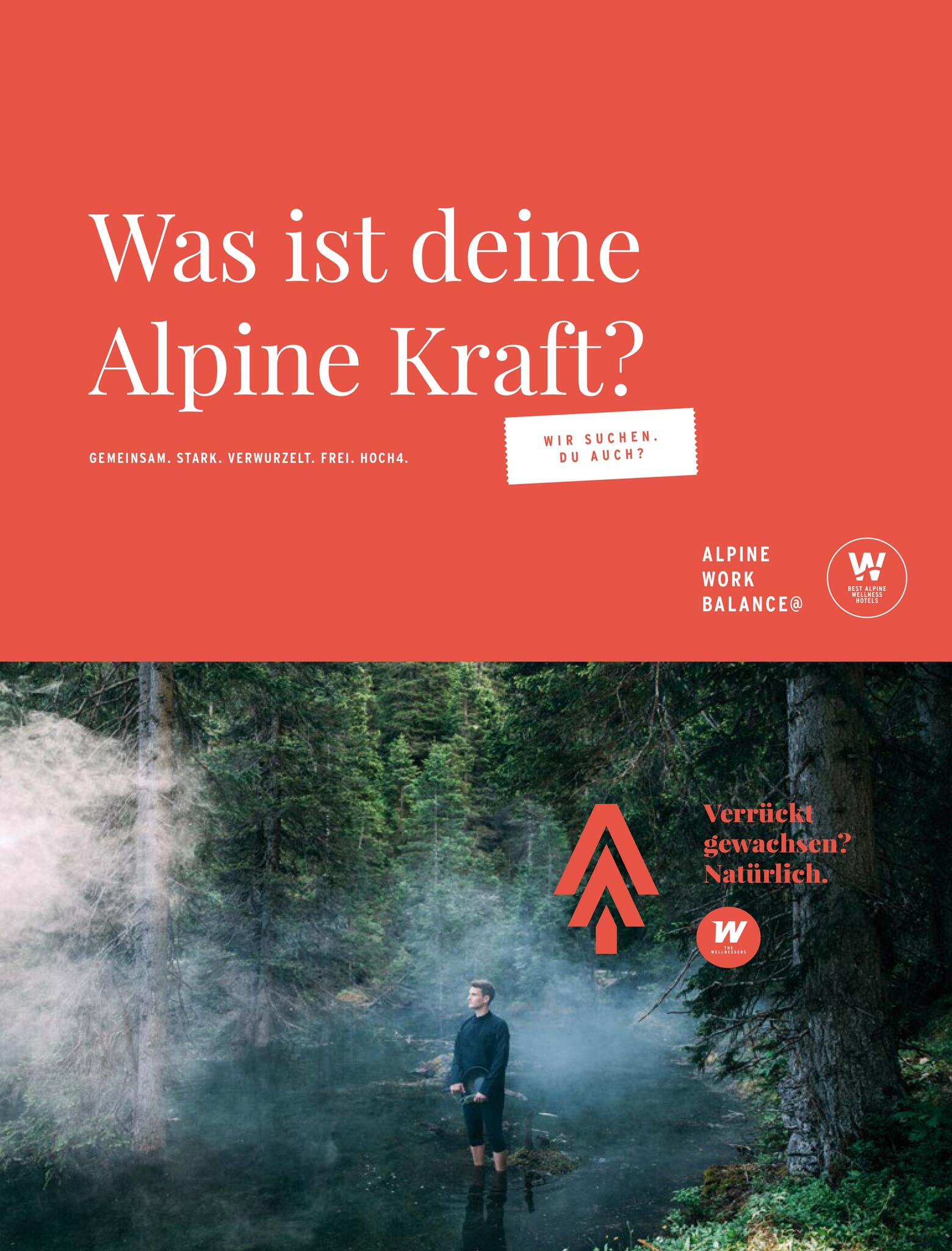 Karrierefolder mit Waldmotiv, Slogan "Was ist deine Alpine Kraft